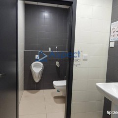 Lokal wynajmę Szczecin 73m2