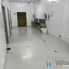 Lokal 2000m2 Nowe Lipiny