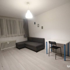 3pok, 52met, Okolice Kruszwickiej ROZKŁAD/PIWNICA/WINDA (Wrocław)