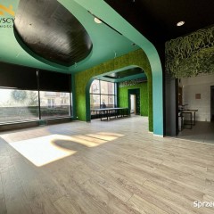 Lokal użytkowy Elbląg ul. Hetmańska 5, 136,7 m2