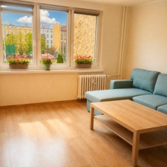 3 pokojowe w centrum z oddzielną kuchnią - umeblowane.
