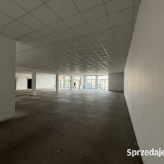OFERTA WYNAJMU LOKALU – WITKOWO, UL. NOWA 2A