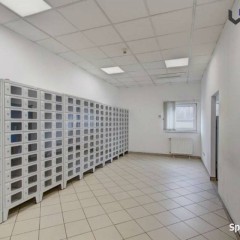 Lokal  Katowice