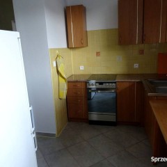 2pok, 52met, okolica Dedala BALKON/WINDA/PARKING (Wrocław)