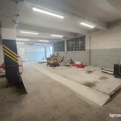 Oferta wynajmu lokalu Kielce Oskara Kolberga 200m2