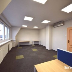 Lokal Opole 31 metrów