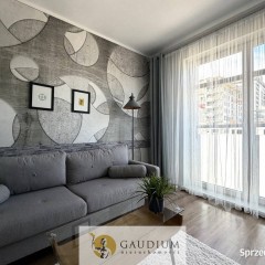 Luksusowy apartament Czarny Dwór