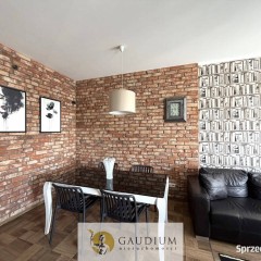 Luksusowy apartament Czarny Dwór