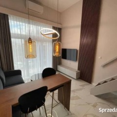 1pok, 26met, Okolice Zarembowicza ANTRESOLA/BALKON (Wrocław)