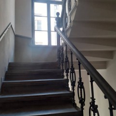Ogłoszenie lokal Łódź 212m2