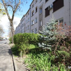 3pok, 50met, Okolice Fiołkowej PIWNICA/PARKING (Wrocław)