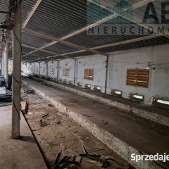 Budynek magazynowo produkcyjny z częścią biurowo socjalną - Brzeźno, Sienna