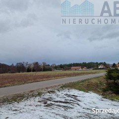 Budynek magazynowo produkcyjny z częścią biurowo socjalną - Brzeźno, Sienna