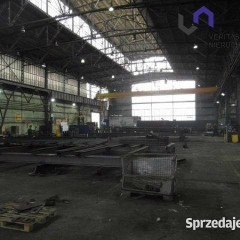 Lokal 1000m2 Sosnowiec