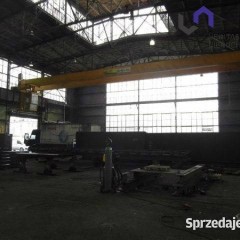 Lokal 1000m2 Sosnowiec
