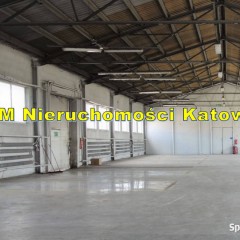 Hala do wynajęcia Katowice blisko centrum plac biuro socjal.