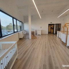 Bezpośrednio lokal 70 m2 lub 2 x 70 m2 na biuro, pracownię, usługi z parki…