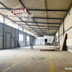 Oferta wynajmu lokalu 320m2 Białystok