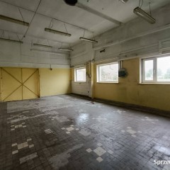 Lokal Kielce 120 metrów
