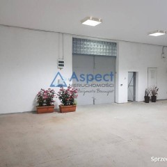 Lokal 100m2 Szczecin