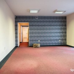 Lokal Zduńska Wola 243m2