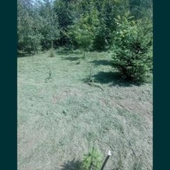 Pole namiotowe kempingowe