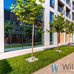 Wynajmę lokal Warszawa 219m2