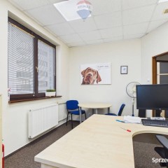 4 pietra w budynku biurowym na wynajem!