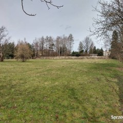 Wynajmę działkę 4600 m2 Łask Kolumna