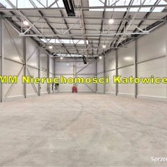 Hala do wynajęcia Katowice przy A4 ogrzewanie, gaz, biura, socjal.