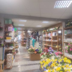 Lokal użytkowy.Sadów przy ruchliwej drodze.