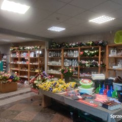 Lokal użytkowy.Sadów przy ruchliwej drodze.