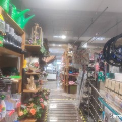 Lokal użytkowy.Sadów przy ruchliwej drodze.