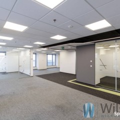 Lokal Warszawa 296m2