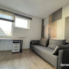 1pok, 16met, okolice Joanitów WINDA/2019 (Wrocław)