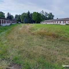 Wynajmę kurnik na fermę/magazyn/halę produkcyjną