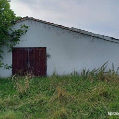 Wynajmę kurnik na fermę/magazyn/halę produkcyjną