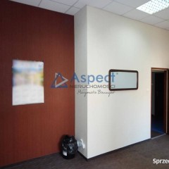 Wynajem, lokal 63 m2, Centrum/Śródmieście