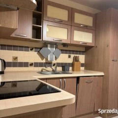 2pok, 48met, Okolice Strzegomskiej LOGGIA/WINDA (Wrocław)