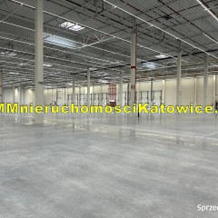 Magazyny do wynajęcia różne powierzchnie przy autostradzie A2 doki biura s…
