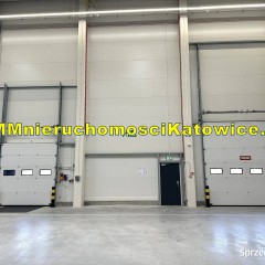 Magazyny do wynajęcia różne powierzchnie przy autostradzie A2 doki biura s…