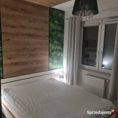 Wynajmę piękny apartament z widokiem na Odrę we Wrocławiu. Balkon 10m2 , 8p