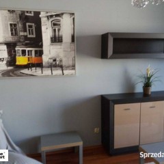 2pok, 52met, okolice Braterskiej BELVEDERE PARK/BALKON (Wrocław)