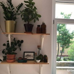 3pok, 70met, okolice Kwaśnej BALKON/PIWNICA/PARKING (Wrocław)