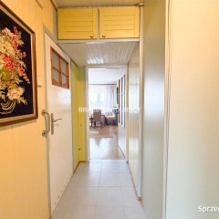 Do wynajęcia mieszkanie 57m2 3 pokoje Kraków os. Osiedle Tysiąclecia