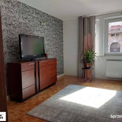 2pok, 55met, okolice Kamiennej PIWNICA (Wrocław)