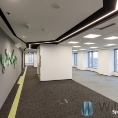 Lokal Warszawa Chłodna 296m2