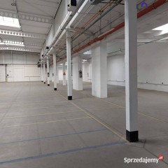 Oferta wynajmu lokalu 1242m2 Katowice