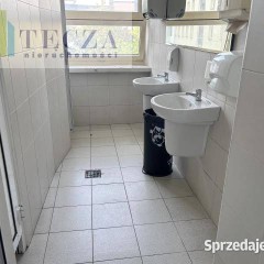 Oferta wynajmu lokalu 235.4m2 Warszawa Świętokrzyska