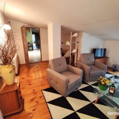 Lokal Łódź 211.51m2